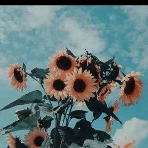 Meet your Posher, Harley